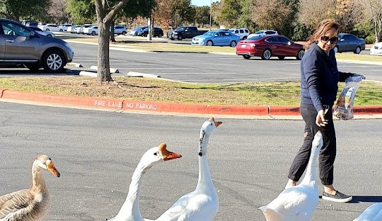 Leander, TX